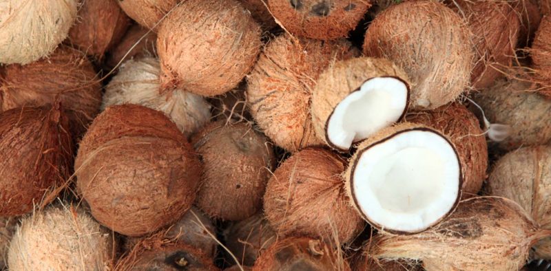 Coconut-products-export